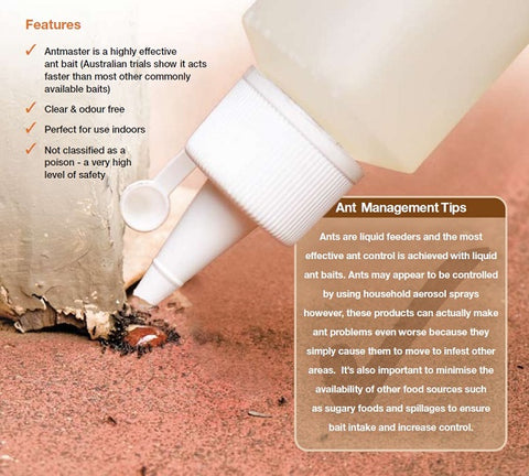 ANTMASTER Ant Bait Liquid Gel Sugar Black House Ant Killer Poison - 125ml