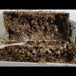 TermatriX Termite Bait 500gram (5 x100gram) pack
